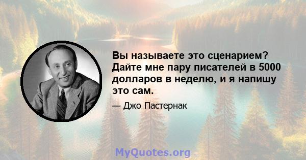 Вы называете это сценарием? Дайте мне пару писателей в 5000 долларов в неделю, и я напишу это сам.