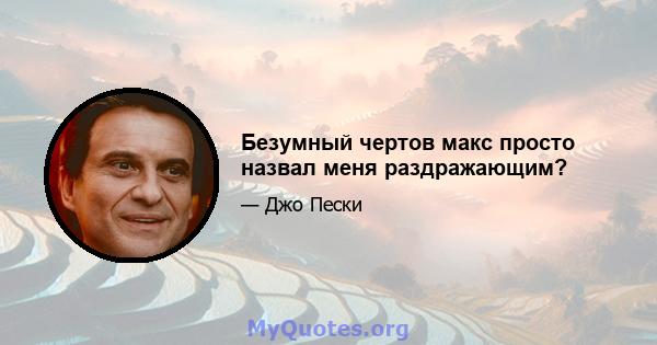 Безумный чертов макс просто назвал меня раздражающим?