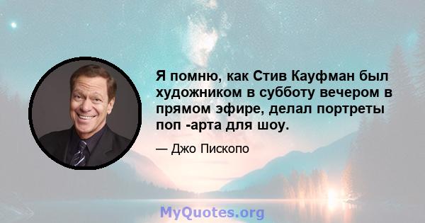 Я помню, как Стив Кауфман был художником в субботу вечером в прямом эфире, делал портреты поп -арта для шоу.