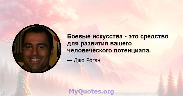 Боевые искусства - это средство для развития вашего человеческого потенциала.