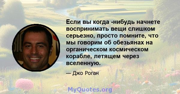 Если вы когда -нибудь начнете воспринимать вещи слишком серьезно, просто помните, что мы говорим об обезьянах на органическом космическом корабле, летящем через вселенную.