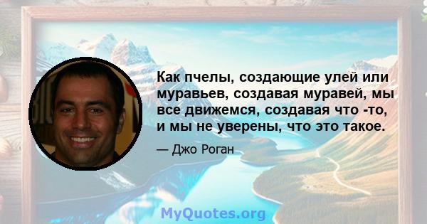 Как пчелы, создающие улей или муравьев, создавая муравей, мы все движемся, создавая что -то, и мы не уверены, что это такое.