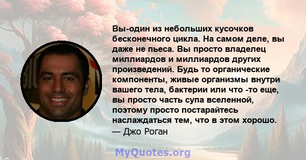 Вы-один из небольших кусочков бесконечного цикла. На самом деле, вы даже не пьеса. Вы просто владелец миллиардов и миллиардов других произведений. Будь то органические компоненты, живые организмы внутри вашего тела,