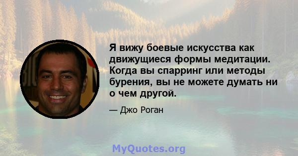 Я вижу боевые искусства как движущиеся формы медитации. Когда вы спарринг или методы бурения, вы не можете думать ни о чем другой.