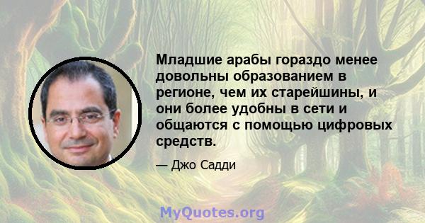 Младшие арабы гораздо менее довольны образованием в регионе, чем их старейшины, и они более удобны в сети и общаются с помощью цифровых средств.