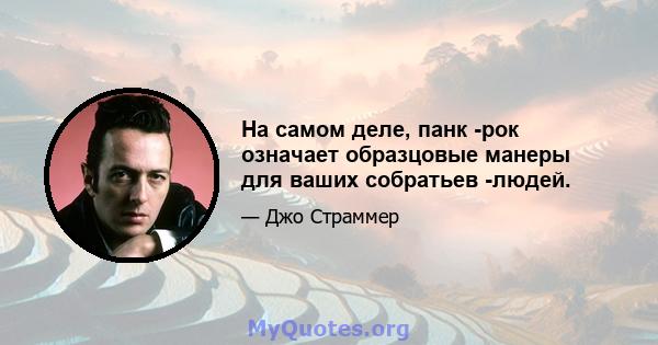 На самом деле, панк -рок означает образцовые манеры для ваших собратьев -людей.