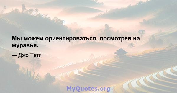 Мы можем ориентироваться, посмотрев на муравья.