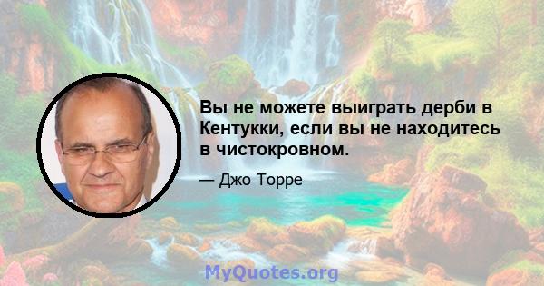 Вы не можете выиграть дерби в Кентукки, если вы не находитесь в чистокровном.