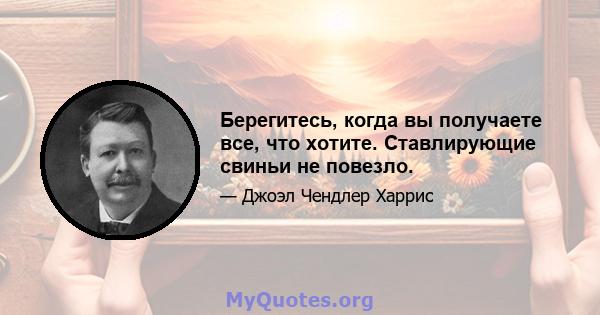 Берегитесь, когда вы получаете все, что хотите. Ставлирующие свиньи не повезло.