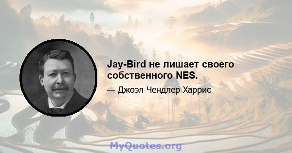 Jay-Bird не лишает своего собственного NES.