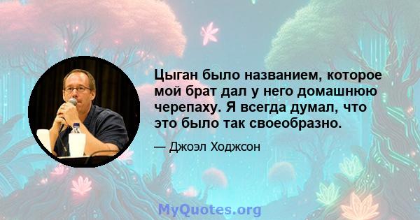 Цыган было названием, которое мой брат дал у него домашнюю черепаху. Я всегда думал, что это было так своеобразно.