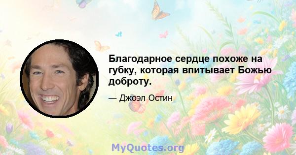 Благодарное сердце похоже на губку, которая впитывает Божью доброту.