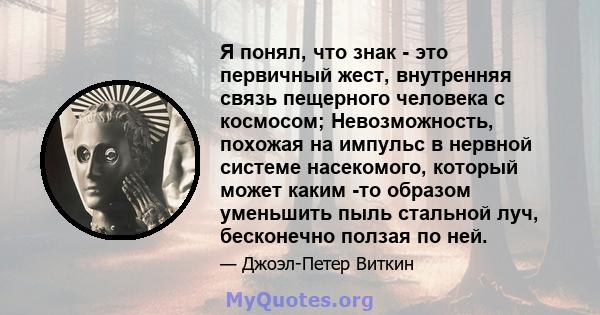 Я понял, что знак - это первичный жест, внутренняя связь пещерного человека с космосом; Невозможность, похожая на импульс в нервной системе насекомого, который может каким -то образом уменьшить пыль стальной луч,