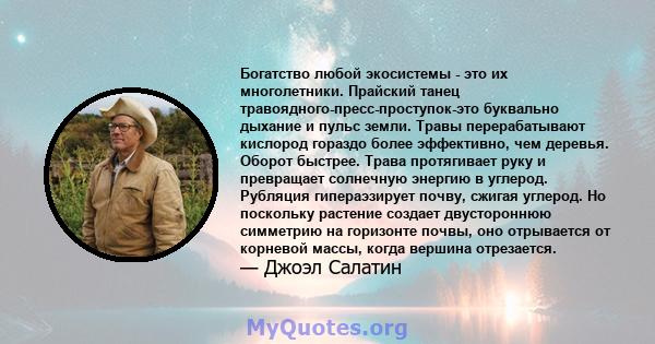 Богатство любой экосистемы - это их многолетники. Прайский танец травоядного-пресс-проступок-это буквально дыхание и пульс земли. Травы перерабатывают кислород гораздо более эффективно, чем деревья. Оборот быстрее.