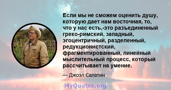 Если мы не сможем оценить душу, которую дает нам восточная, то, что у нас есть,-это разъединенный греко-римский, западный, эгоцентричный, разделенный, редукционистский, фрагментированный, линейный мыслительный процесс,