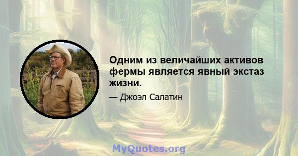 Одним из величайших активов фермы является явный экстаз жизни.