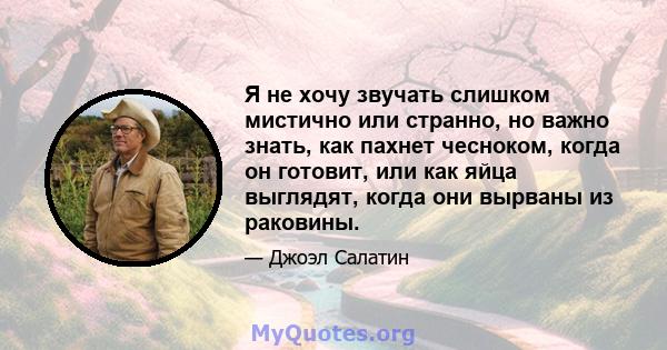 Я не хочу звучать слишком мистично или странно, но важно знать, как пахнет чесноком, когда он готовит, или как яйца выглядят, когда они вырваны из раковины.