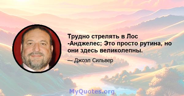 Трудно стрелять в Лос -Анджелес; Это просто рутина, но они здесь великолепны.