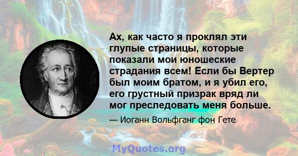 Ах, как часто я проклял эти глупые страницы, которые показали мои юношеские страдания всем! Если бы Вертер был моим братом, и я убил его, его грустный призрак вряд ли мог преследовать меня больше.