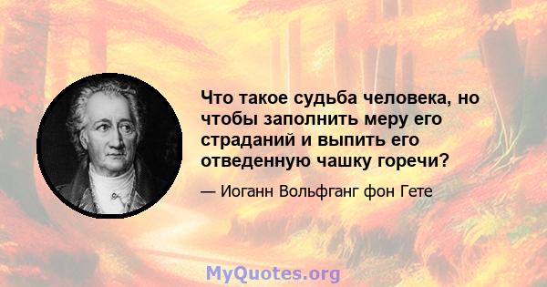 Что такое судьба человека, но чтобы заполнить меру его страданий и выпить его отведенную чашку горечи?