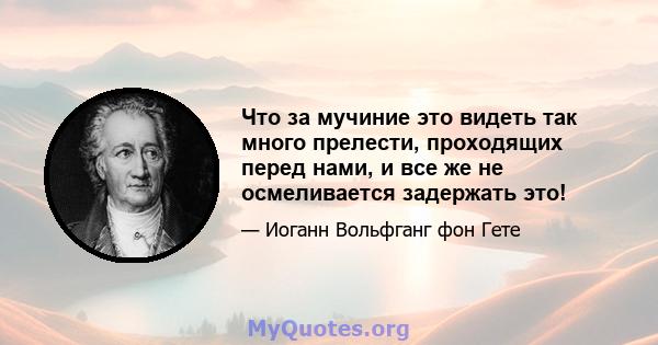 Что за мучиние это видеть так много прелести, проходящих перед нами, и все же не осмеливается задержать это!