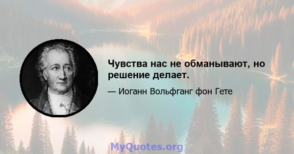 Чувства нас не обманывают, но решение делает.