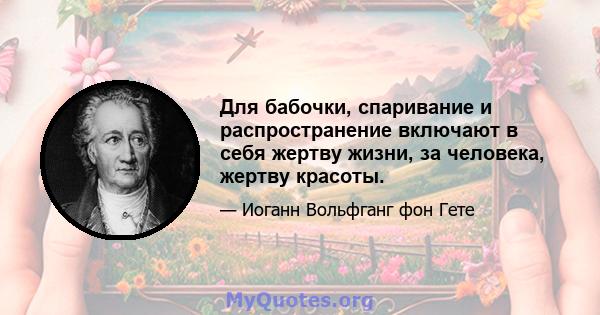 Для бабочки, спаривание и распространение включают в себя жертву жизни, за человека, жертву красоты.