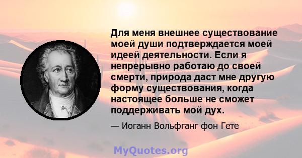 Для меня внешнее существование моей души подтверждается моей идеей деятельности. Если я непрерывно работаю до своей смерти, природа даст мне другую форму существования, когда настоящее больше не сможет поддерживать мой