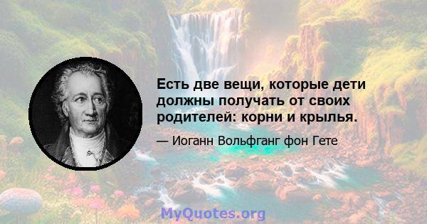 Есть две вещи, которые дети должны получать от своих родителей: корни и крылья.