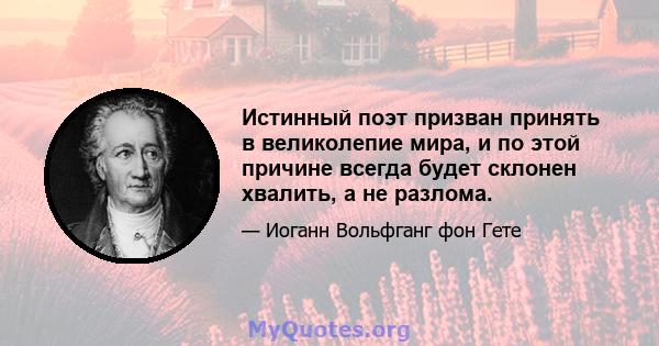 Истинный поэт призван принять в великолепие мира, и по этой причине всегда будет склонен хвалить, а не разлома.