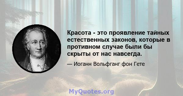 Красота - это проявление тайных естественных законов, которые в противном случае были бы скрыты от нас навсегда.