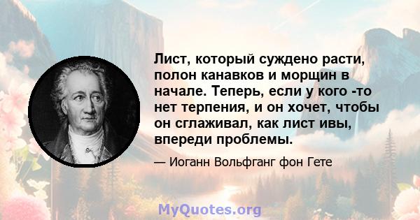 Лист, который суждено расти, полон канавков и морщин в начале. Теперь, если у кого -то нет терпения, и он хочет, чтобы он сглаживал, как лист ивы, впереди проблемы.