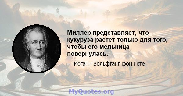 Миллер представляет, что кукуруза растет только для того, чтобы его мельница повернулась.