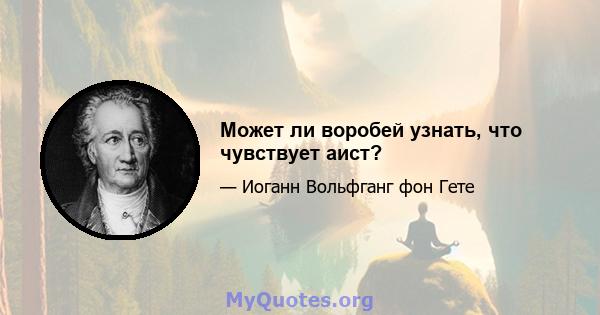 Может ли воробей узнать, что чувствует аист?