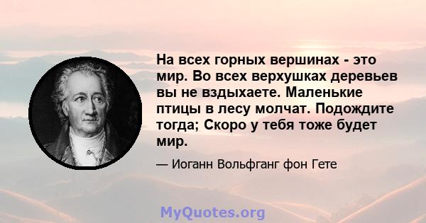 На всех горных вершинах - это мир. Во всех верхушках деревьев вы не вздыхаете. Маленькие птицы в лесу молчат. Подождите тогда; Скоро у тебя тоже будет мир.