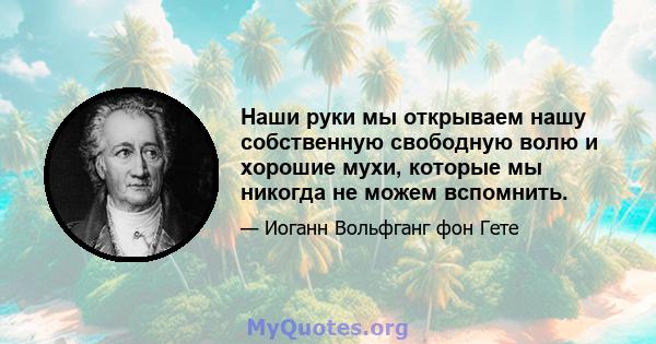 Наши руки мы открываем нашу собственную свободную волю и хорошие мухи, которые мы никогда не можем вспомнить.