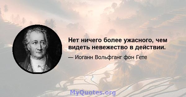 Нет ничего более ужасного, чем видеть невежество в действии.