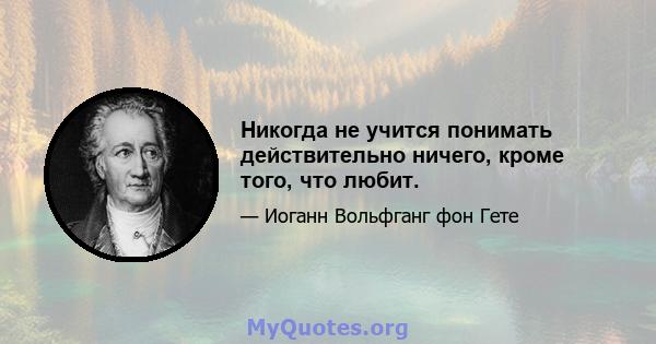 Никогда не учится понимать действительно ничего, кроме того, что любит.