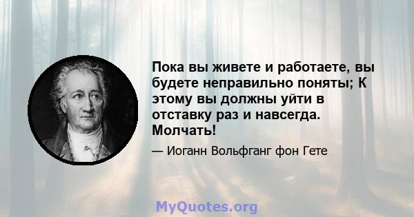 Пока вы живете и работаете, вы будете неправильно поняты; К этому вы должны уйти в отставку раз и навсегда. Молчать!