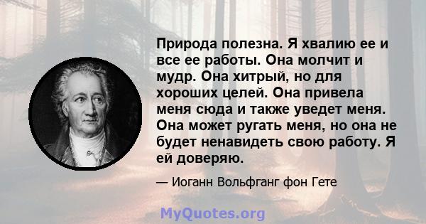 Природа полезна. Я хвалию ее и все ее работы. Она молчит и мудр. Она хитрый, но для хороших целей. Она привела меня сюда и также уведет меня. Она может ругать меня, но она не будет ненавидеть свою работу. Я ей доверяю.