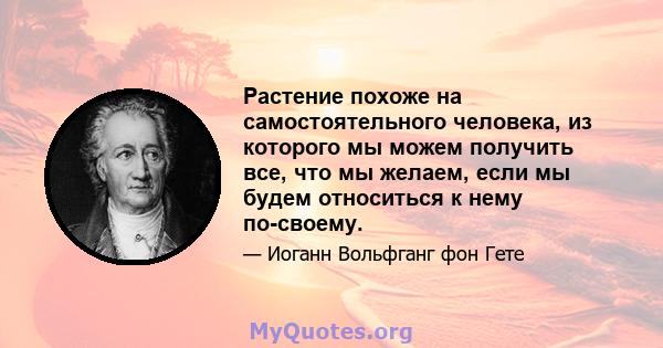 Растение похоже на самостоятельного человека, из которого мы можем получить все, что мы желаем, если мы будем относиться к нему по-своему.