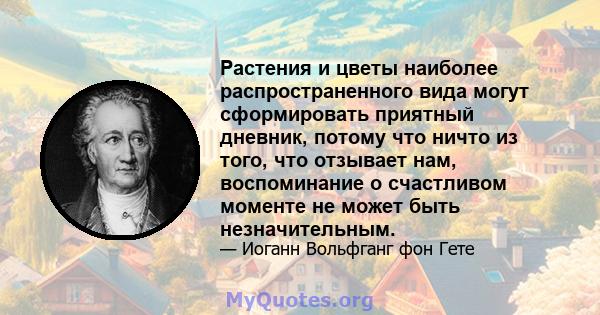 Растения и цветы наиболее распространенного вида могут сформировать приятный дневник, потому что ничто из того, что отзывает нам, воспоминание о счастливом моменте не может быть незначительным.