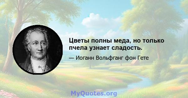 Цветы полны меда, но только пчела узнает сладость.