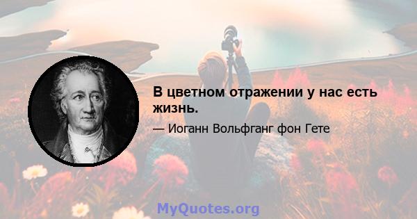 В цветном отражении у нас есть жизнь.