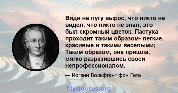 Види на лугу вырос, что никто не видел, что никто не знал, это был скромный цветок. Пастуха проходит таким образом- легкие, красивые и такими веселыми; Таким образом, она пришла, мягко разразившись своей