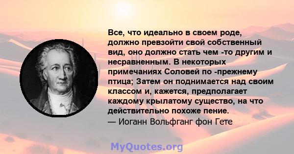 Все, что идеально в своем роде, должно превзойти свой собственный вид, оно должно стать чем -то другим и несравненным. В некоторых примечаниях Соловей по -прежнему птица; Затем он поднимается над своим классом и,