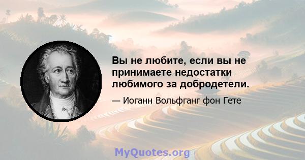 Вы не любите, если вы не принимаете недостатки любимого за добродетели.