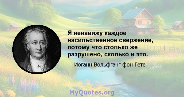 Я ненавижу каждое насильственное свержение, потому что столько же разрушено, сколько и это.