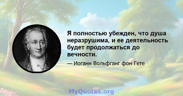 Я полностью убежден, что душа неразрушима, и ее деятельность будет продолжаться до вечности.