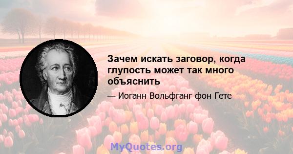 Зачем искать заговор, когда глупость может так много объяснить